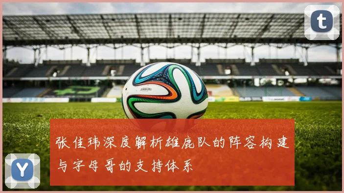 张佳玮深度解析雄鹿队的阵容构建与字母哥的支持体系