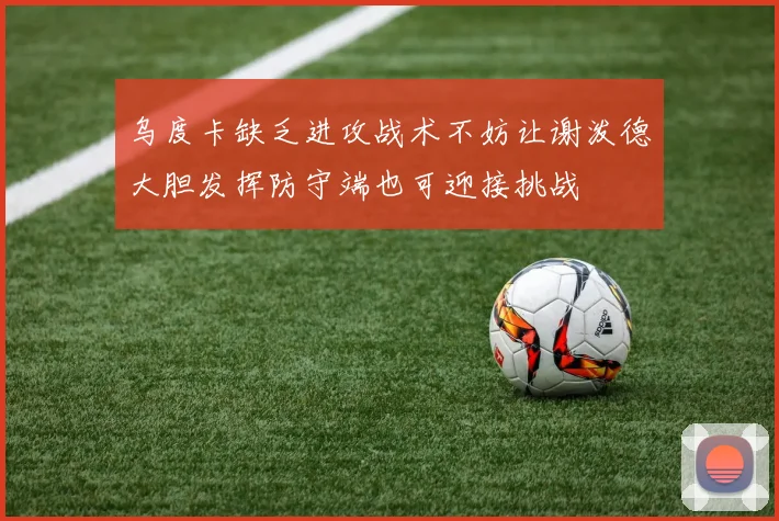 乌度卡缺乏进攻战术不妨让谢泼德大胆发挥防守端也可迎接挑战