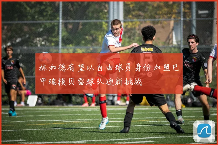 林加德有望以自由球员身份加盟巴甲瑞模贝雷球队迎新挑战