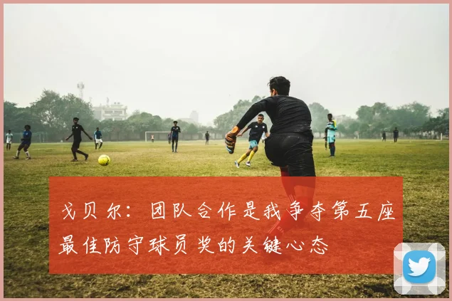 戈贝尔：团队合作是我争夺第五座最佳防守球员奖的关键心态